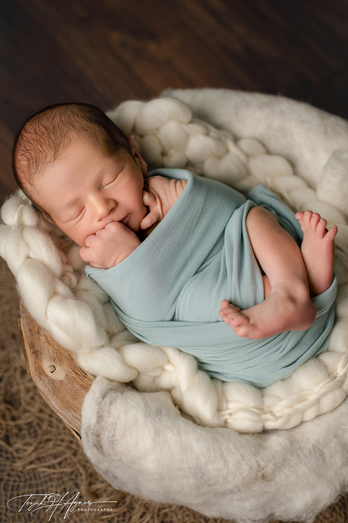 Szilárd maci WEB-6